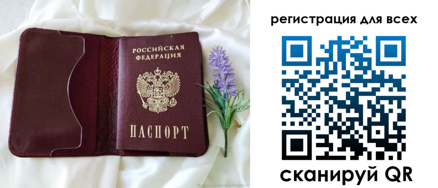 прописка 2025 в Оленегорске